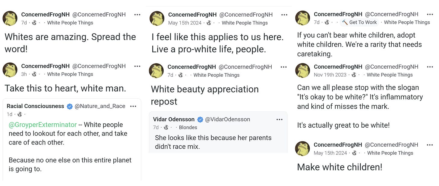 7 white supremacist posts