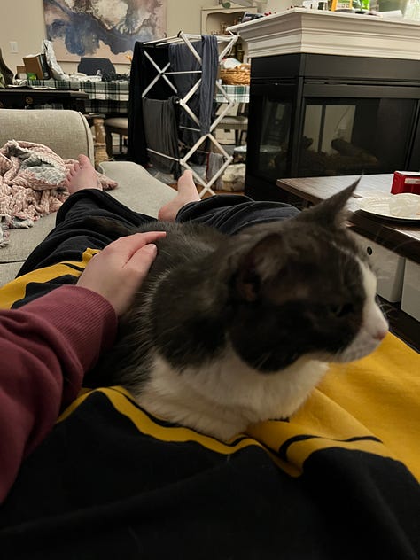 Photos of a tuxedo cat, Simmer, in various places, mostly on laps and blankets and with KJ Ramsey's memoir, The Place Between Our Pains