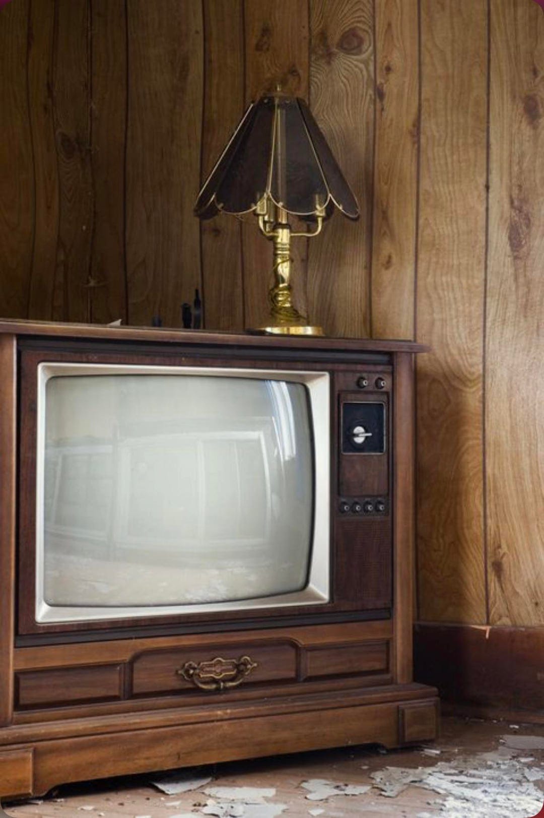 Wood Grain Television and Wood Paneling… The Historic Ruins of a 1980s  Living Room : r/The1980s