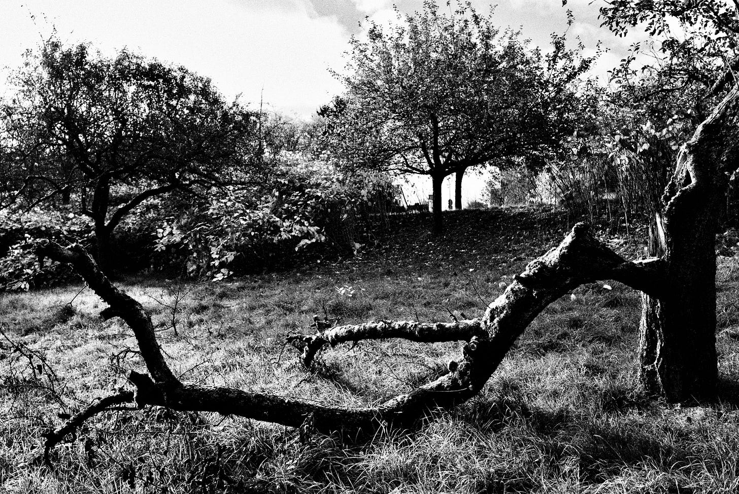 Sascha Büttner Leia Fotografie