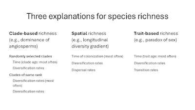 A slide titled "What explains patterns of species richness?" with three columns, each with indented text of explanation below it.