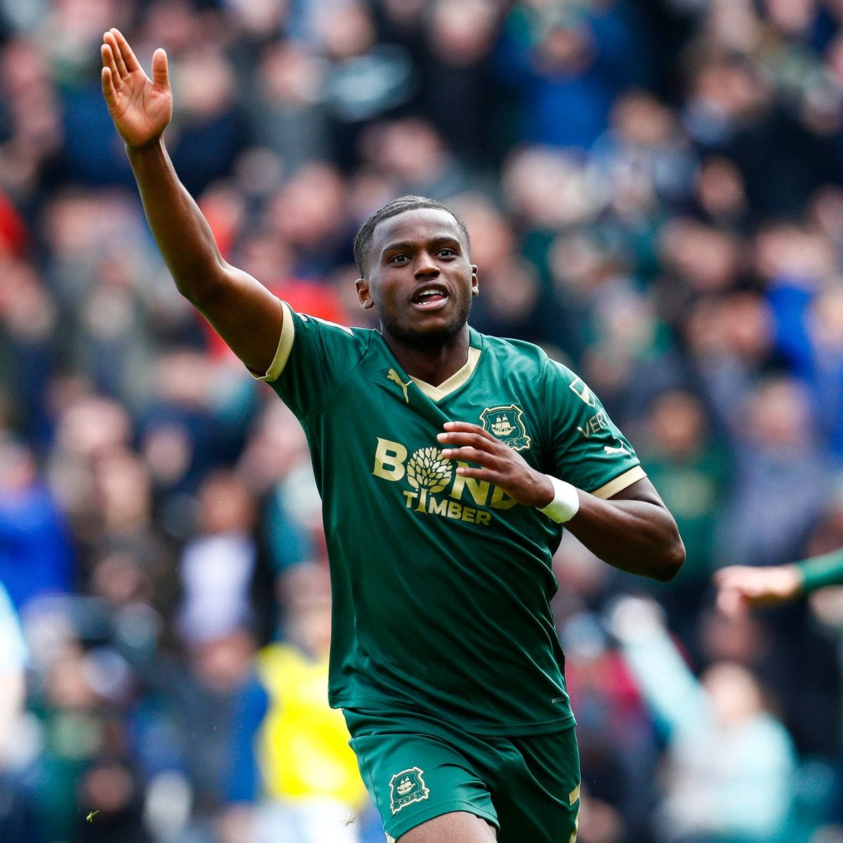 Steven Schumacher: Plymouth Argyle quality earned victory over Huddersfield  Town - Plymouth Live
