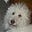 Daisy P.H's avatar