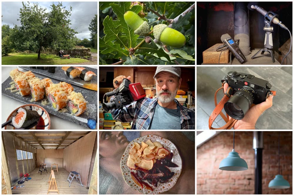 A montage of the images featured in this post