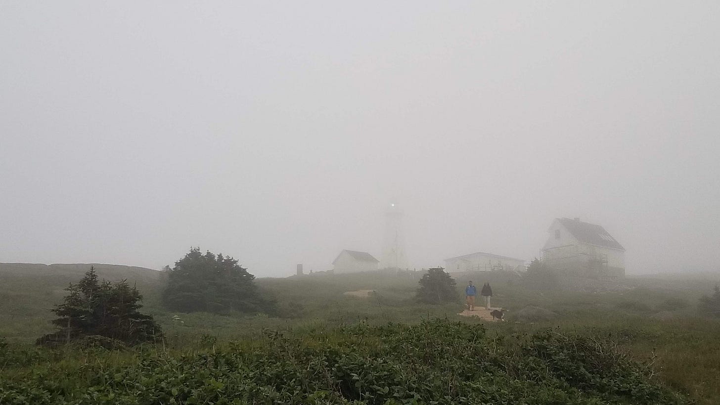 A landscape drenched in fog.