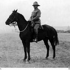 Capital Flows and Asset Markets