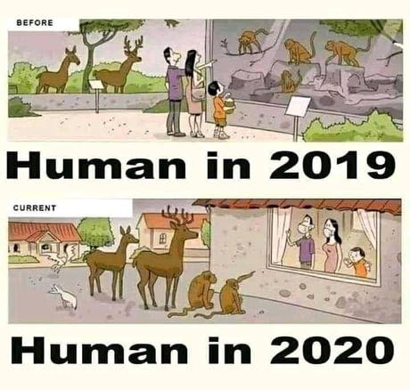 Edgy Lockdown Meme :V - 9GAG