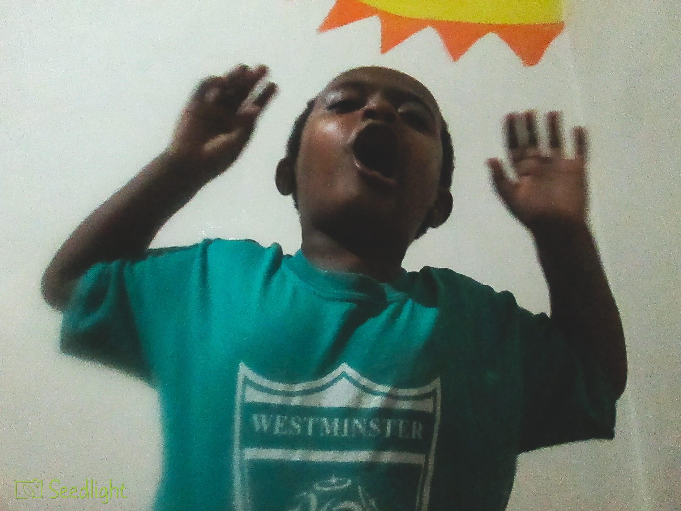 © Kesahun/Seedlight