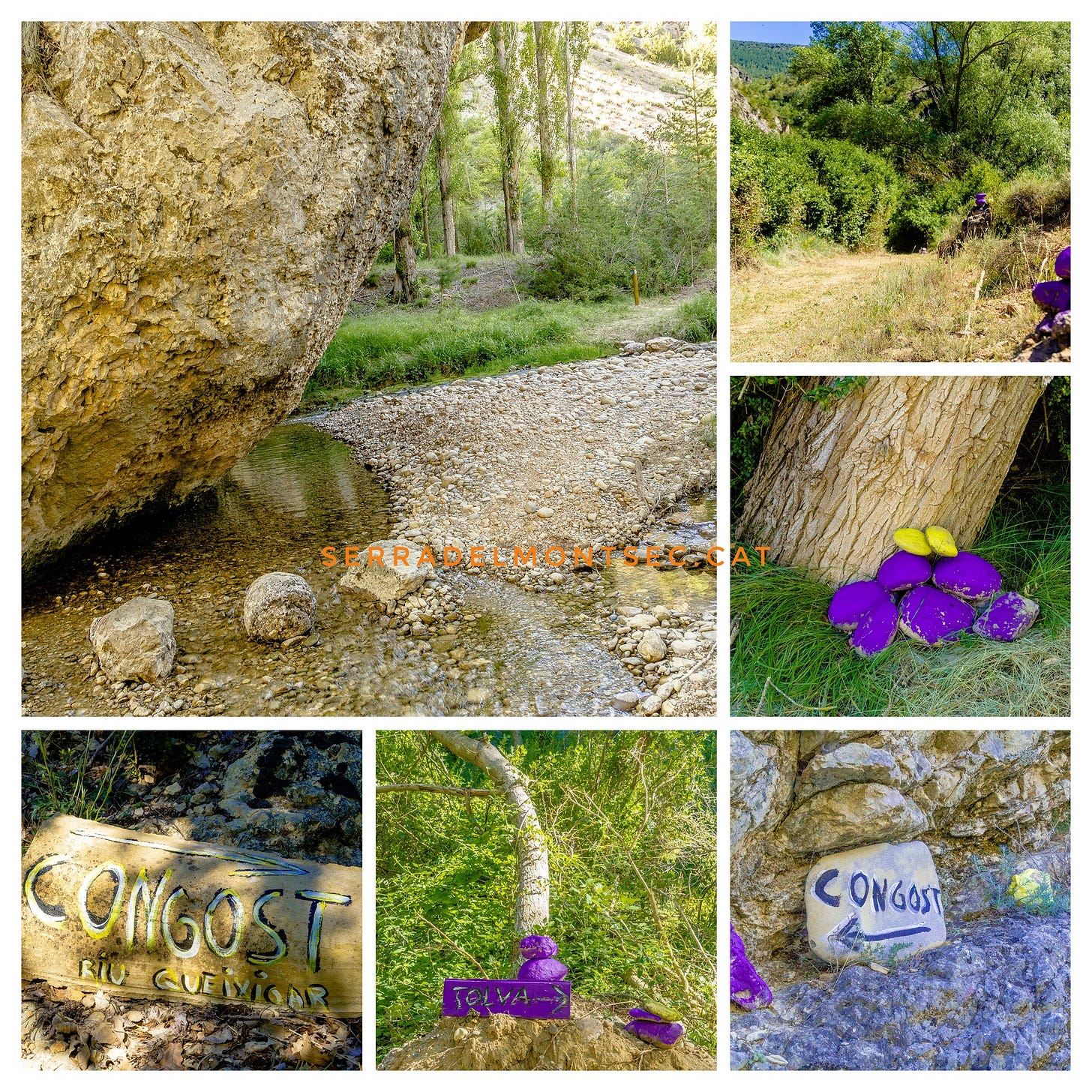 La senyalització és d’una ingenuïtat deliciosa: unes fites liles i grogues, pintades amb una intenció artística per una dona de Tolba, que ens guien amb més eficàcia que molts mapes sofisticats.