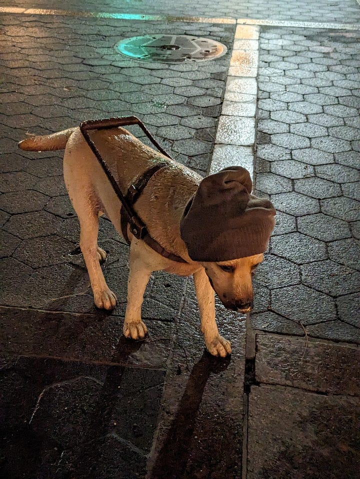 Stray dog sculpture.