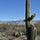 Sonoran Think Tank