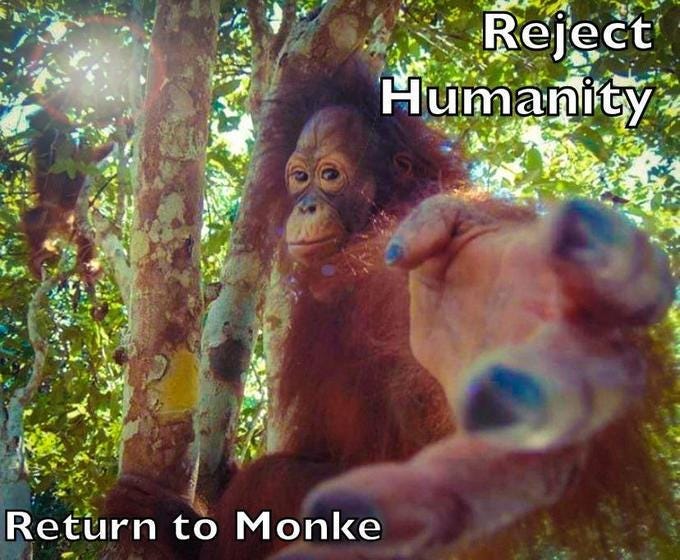 We Will Always Be Apes: Return to Monke | by Kevin Feng | Medium
