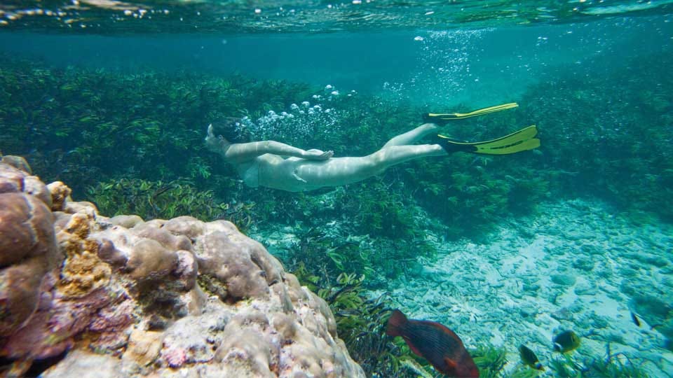 Female Diver in Aqua Blue Coral-Studded Water