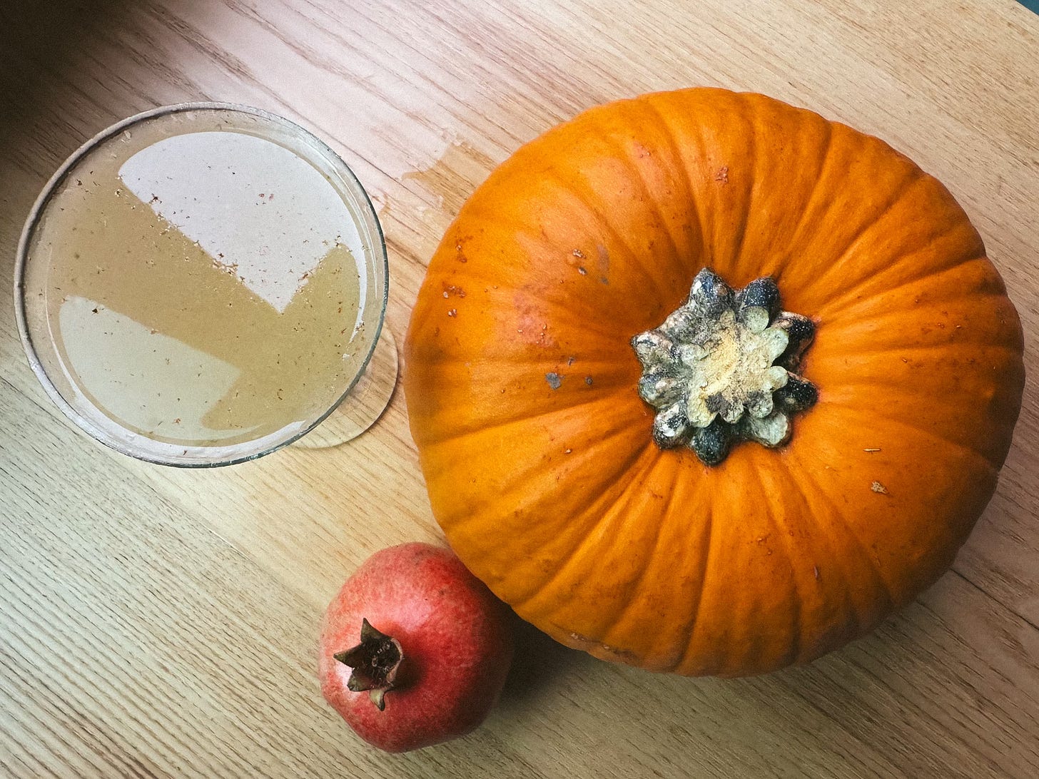 Running through Orchards - St. George Cocktail