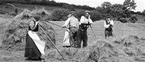 Making hay -1870 - 1907 Women In History, Family History, John ...