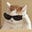 Downbeat's avatar