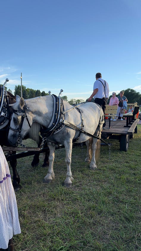 A man in suspenders poses with his horses. | Families try on bonnets at a Mercantile. | A white horse waits patiently to begin a quick wagon ride.