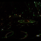 Xí Nghiệp Điện Ảnh Thăng Long