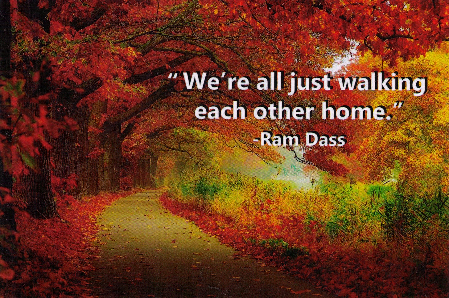 We're all just walking each other home - Ram Dass - Postcard