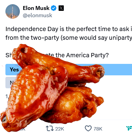 Elon Musk Tweet on America Party with three buffalo wings.