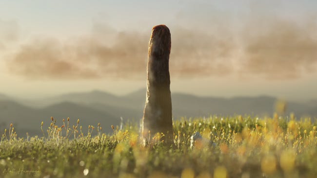 Un prototaxite. Ça ressemble à un genre d'asperge, à la verticale, s'élevant au-dessus d'un champ, aussi haut qu'un arbre. Un prototaxite. Ça ressemble à un genre d'asperge, à la verticale, s'élevant au-dessus d'un champ, aussi haut qu'un arbre.