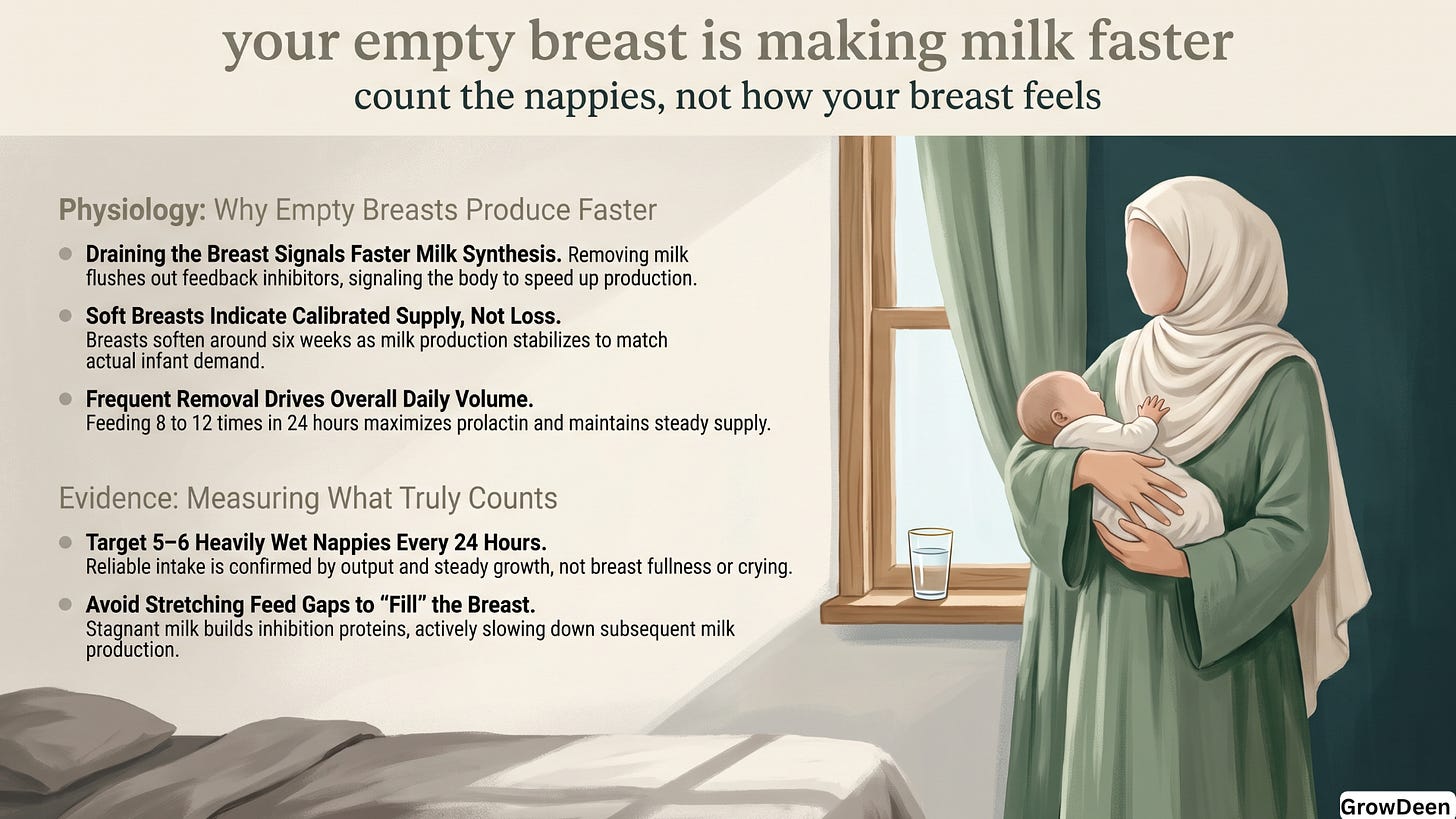 Your Empty Breast Is Making Milk Faster Your Empty Breast Is Making Milk Faster