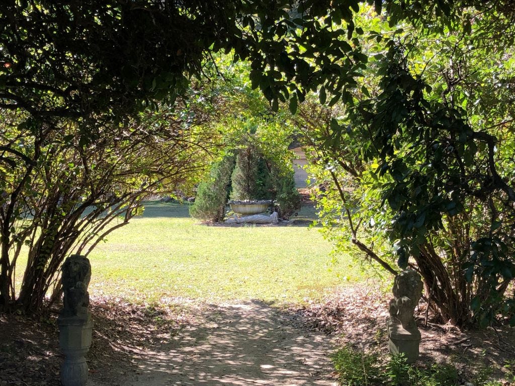 arched bushes at the Pearl Fryar Topiary Garden