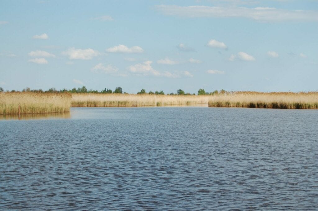 Neudsiedlersee, Österreich, Burgenland. Mit vielen Schilfflächen. Neudsiedlersee, Österreich, Burgenland. Mit vielen Schilfflächen.