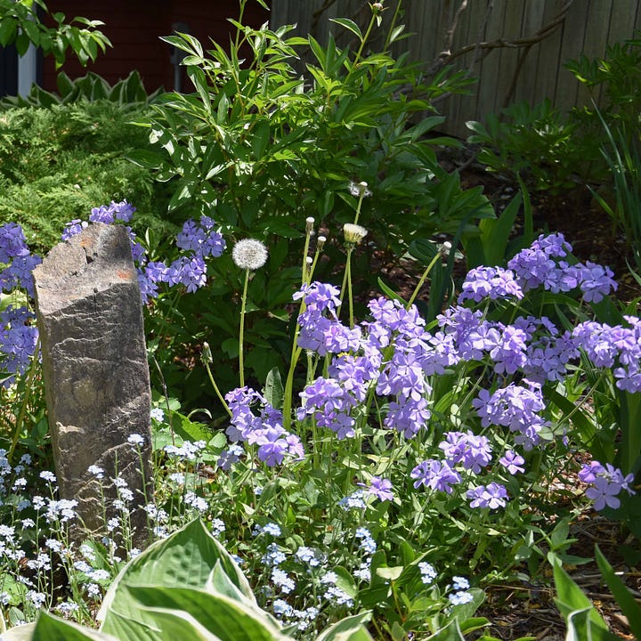 Diptych with purple flowers with small petals.