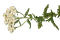 aliza’s Substack