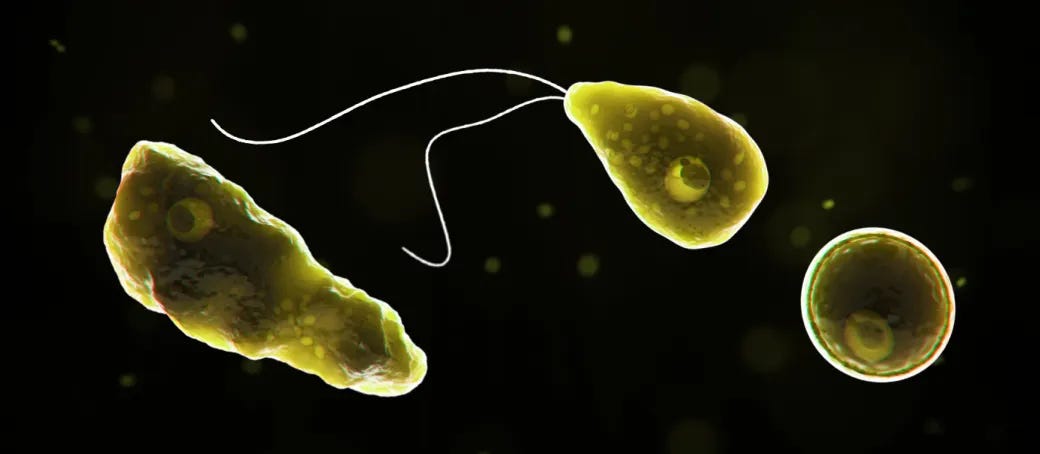 1st Naegleria fowleri death of the year in Karachi  Outbreak News Today