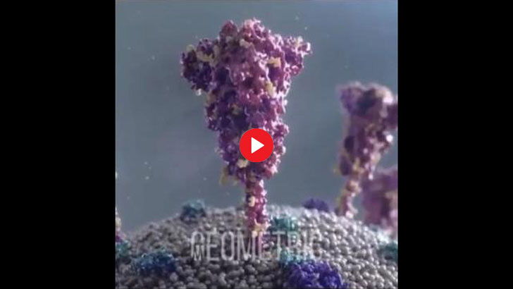 How mRNA Vaccine Affects Cells
