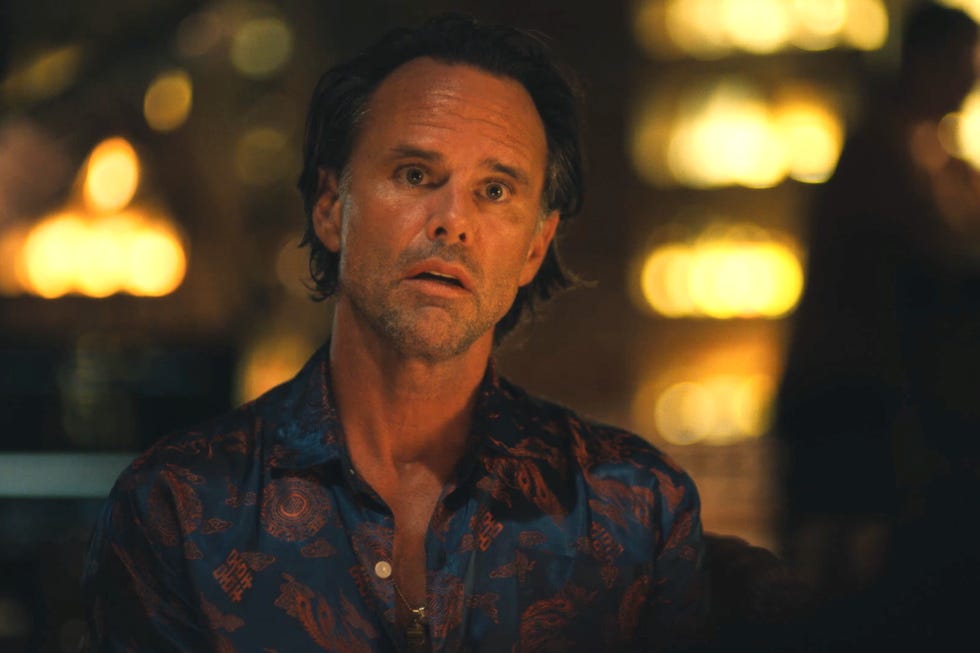 Sam Rockwell's 'The White Lotus' Season 3 Appearance, Explained