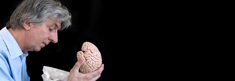 look into brain