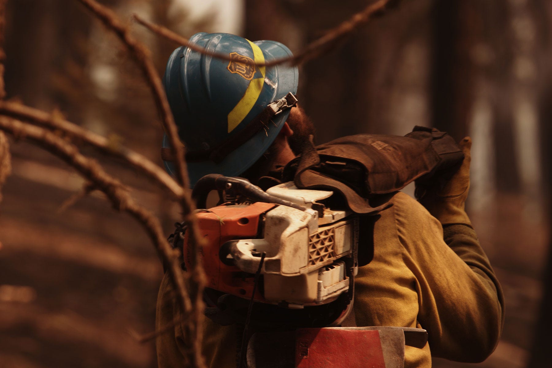 Three Firefighters Died. Forest Service Chief Showed Up Selling Timber.