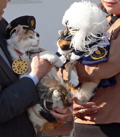 Feline_Stationmaster_Nitama_With_Tama Feline_Stationmaster_Nitama_With_Tama