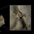 Anthropology.net