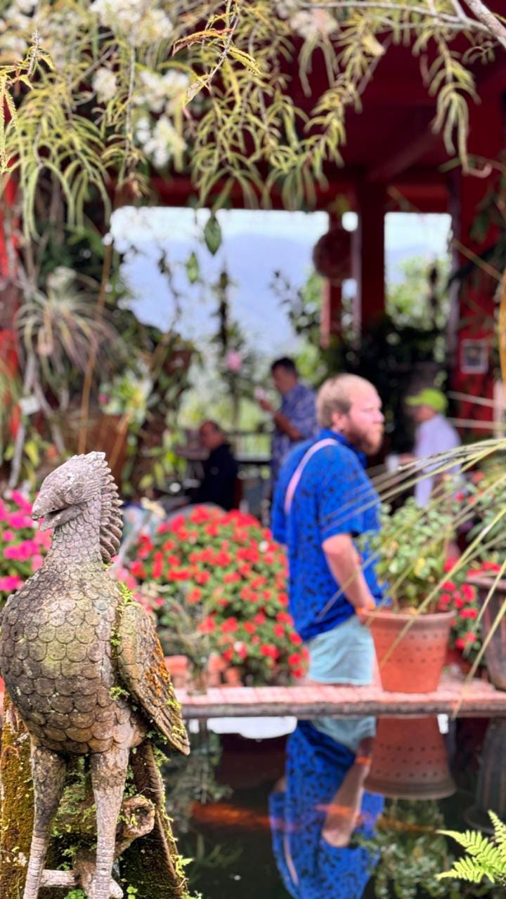 A peach colored multi-level terraced beach side hotel wraps around palm trees in Puerto Vallarta. A colorfully dressed bearded man walks amongst ornate gardens of flowers at the Vallarta Botanical Gardens