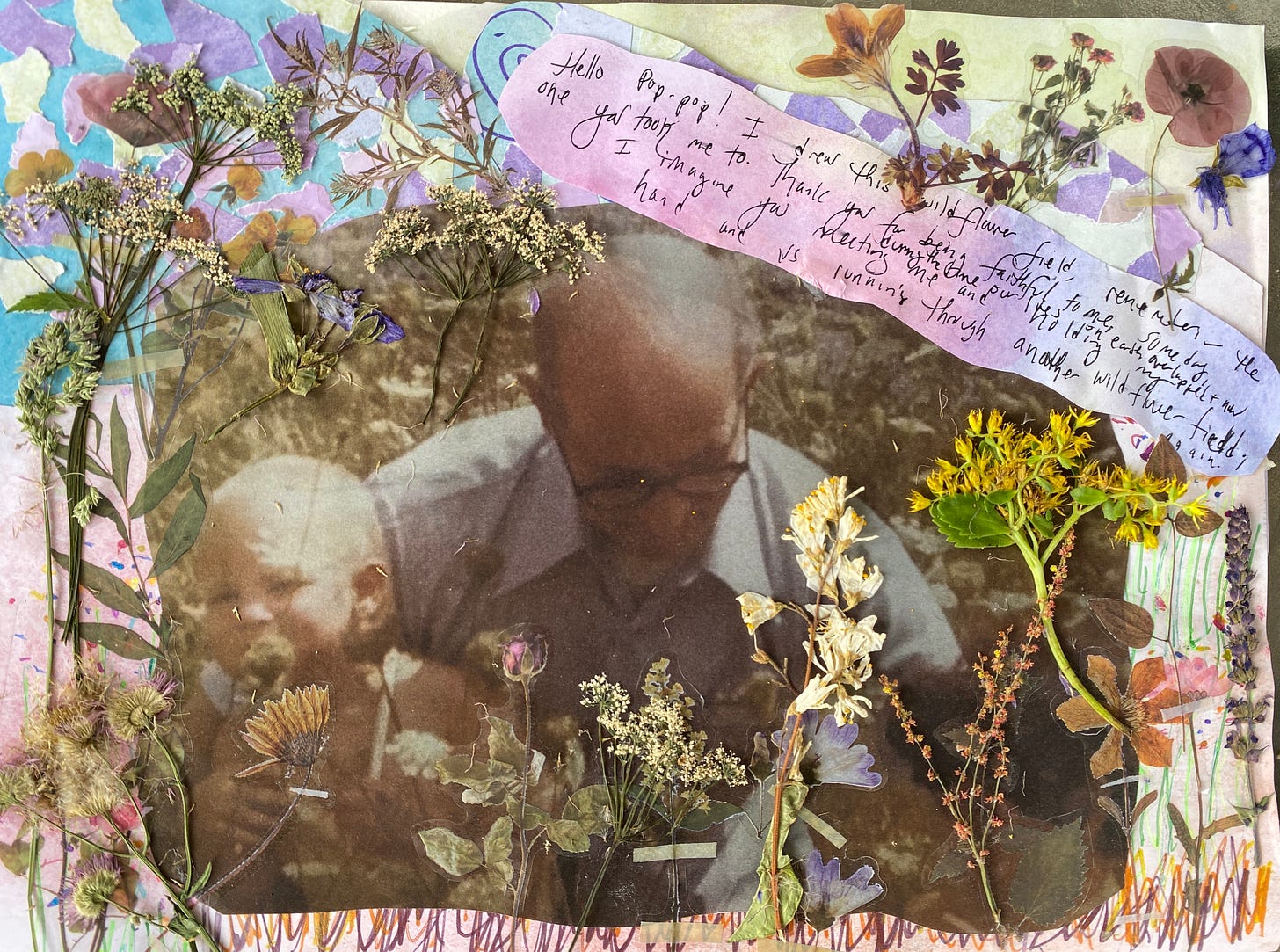 in a collage, a grabndfather holds a baby in a wildflower field. the photo is covered with pressed flowers and wildlfower stickers