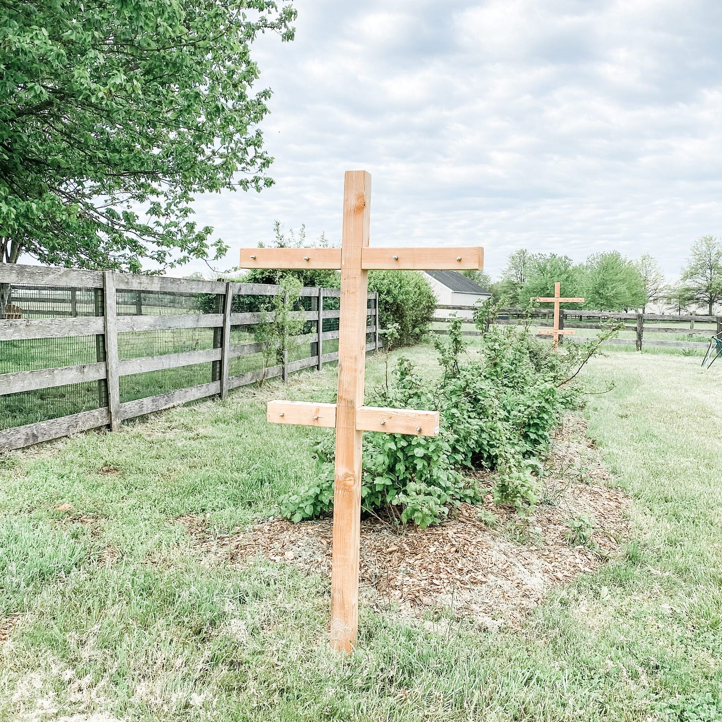 How to Build a Raspberry Trellis - Roots & Boots How to Build a Raspberry Trellis - Roots & Boots