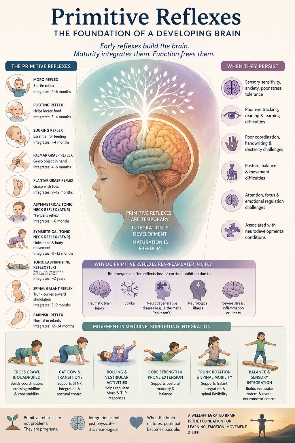 Primitive Reflexes: The Earliest Language of the Nervous System