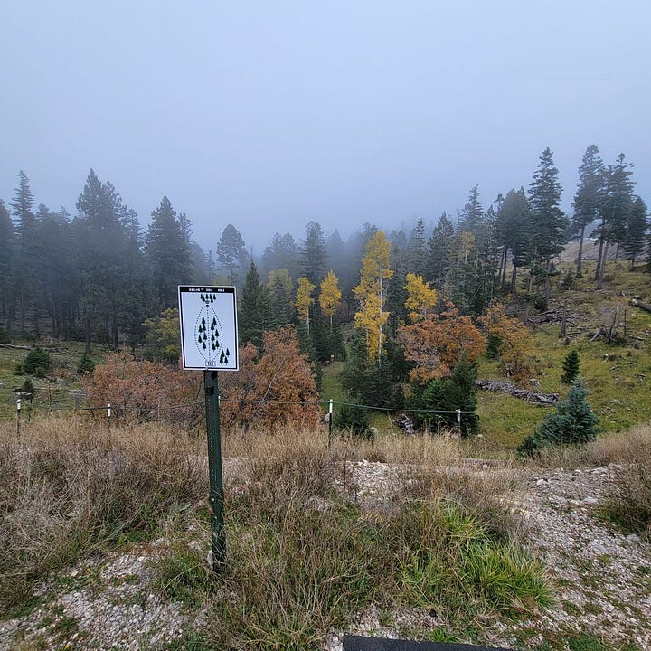disc golf course in four seasons in cloudcroft nm