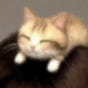 sammie's avatar