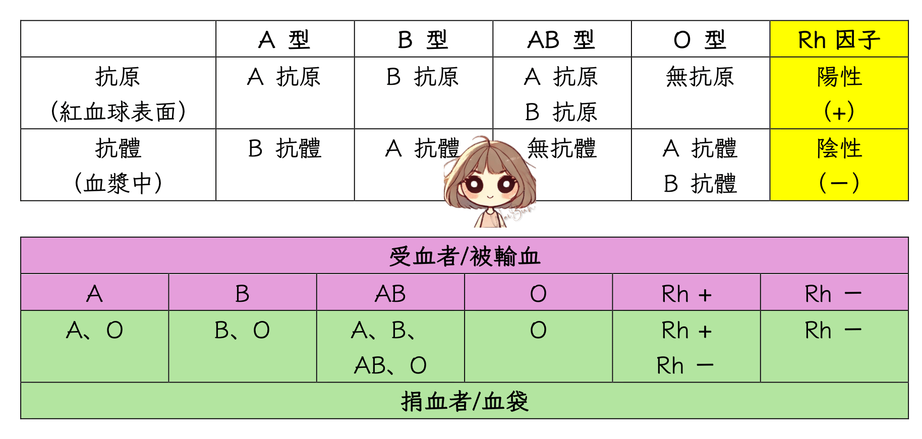 護理內外 - 輸血與輸血反應 - 薇布WeiBuh💉護理站