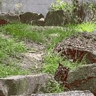 Tell Me More, Tell Me More, Like Does He Have A Car? Tabs, Tues., March 11, 2025