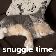 two kittens hugging each other on a couch with the words snuggle time written below them two kittens hugging each other on a couch with the words snuggle time written below them