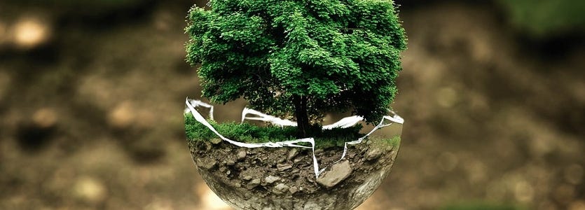 Direito ambiental: a importância da sustentabilidade na tomada de decisões  jurídicas