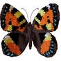 Elaine Kennedy's avatar