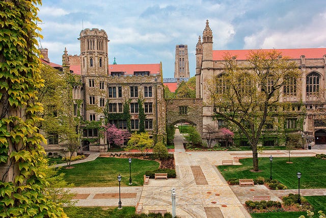 UChicago To Deliver 225,000 Meals To South Siders, Launch $1 Million Fund  For Businesses And Nonprofits