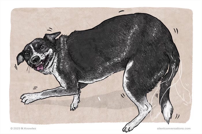 Illustration of a dog displaying submissive grin or grimace by showing teeth. The dogs body is lowered and curved away with a low wagging tail. Illustration of a dog displaying submissive grin or grimace by showing teeth. The dogs body is lowered and curved away with a low wagging tail.
